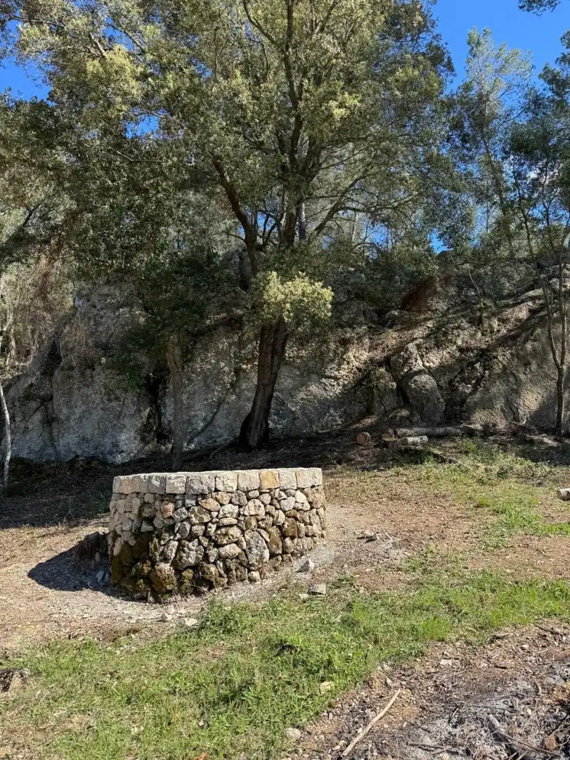 Terrain rustique à vendre à Selva, imagen 5