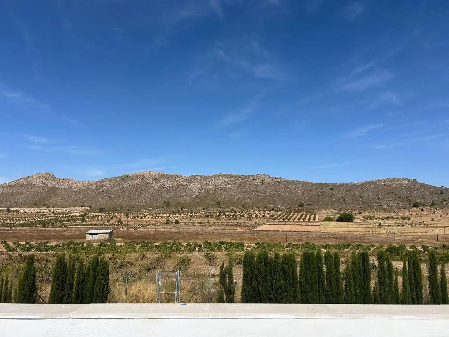 Xalet en venda a Abanilla, imagen 20