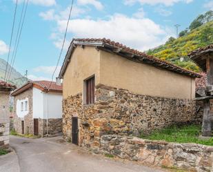 Vista exterior de Casa o xalet en venda en Teverga