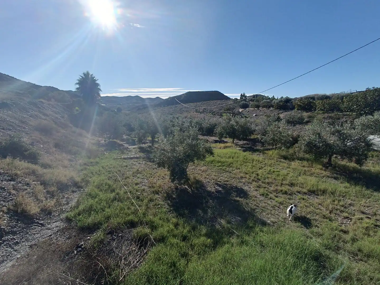 Terreno residenziale in vendita a Tébar - Los Arejos, imagen 15