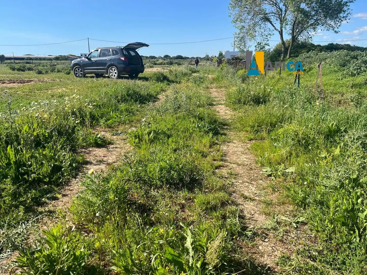 Terreno en venta en Conil de la Frontera