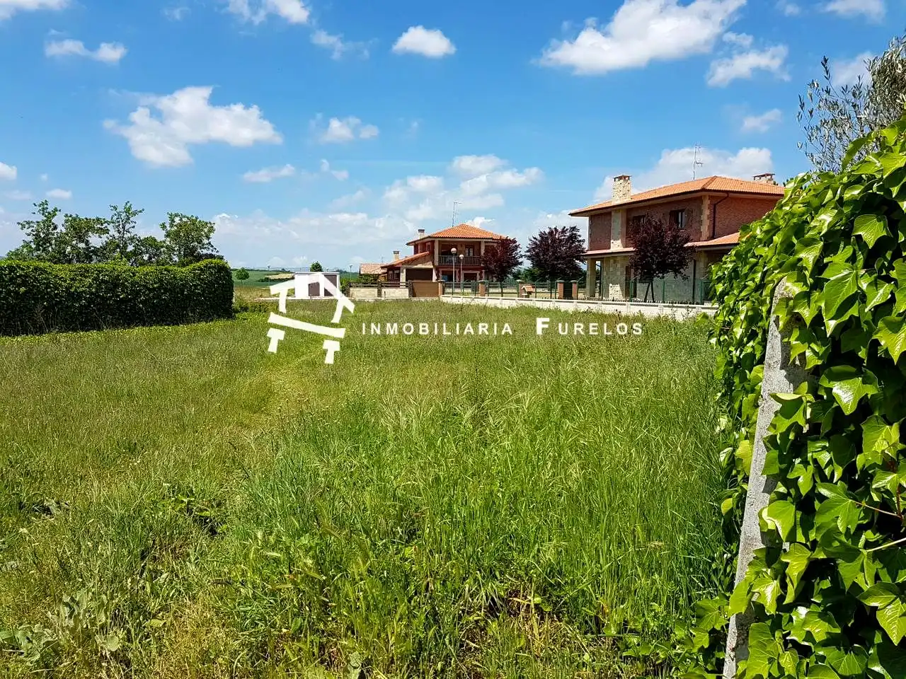Lands and plots for sale in Tizona 4, imagen 3