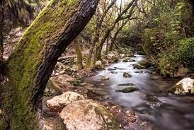 Foto 2 de Casa o xalet en venda a El Bosque, Cádiz