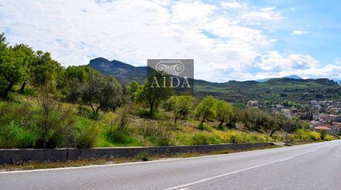Beas de GranadaTerreno, immagine 2