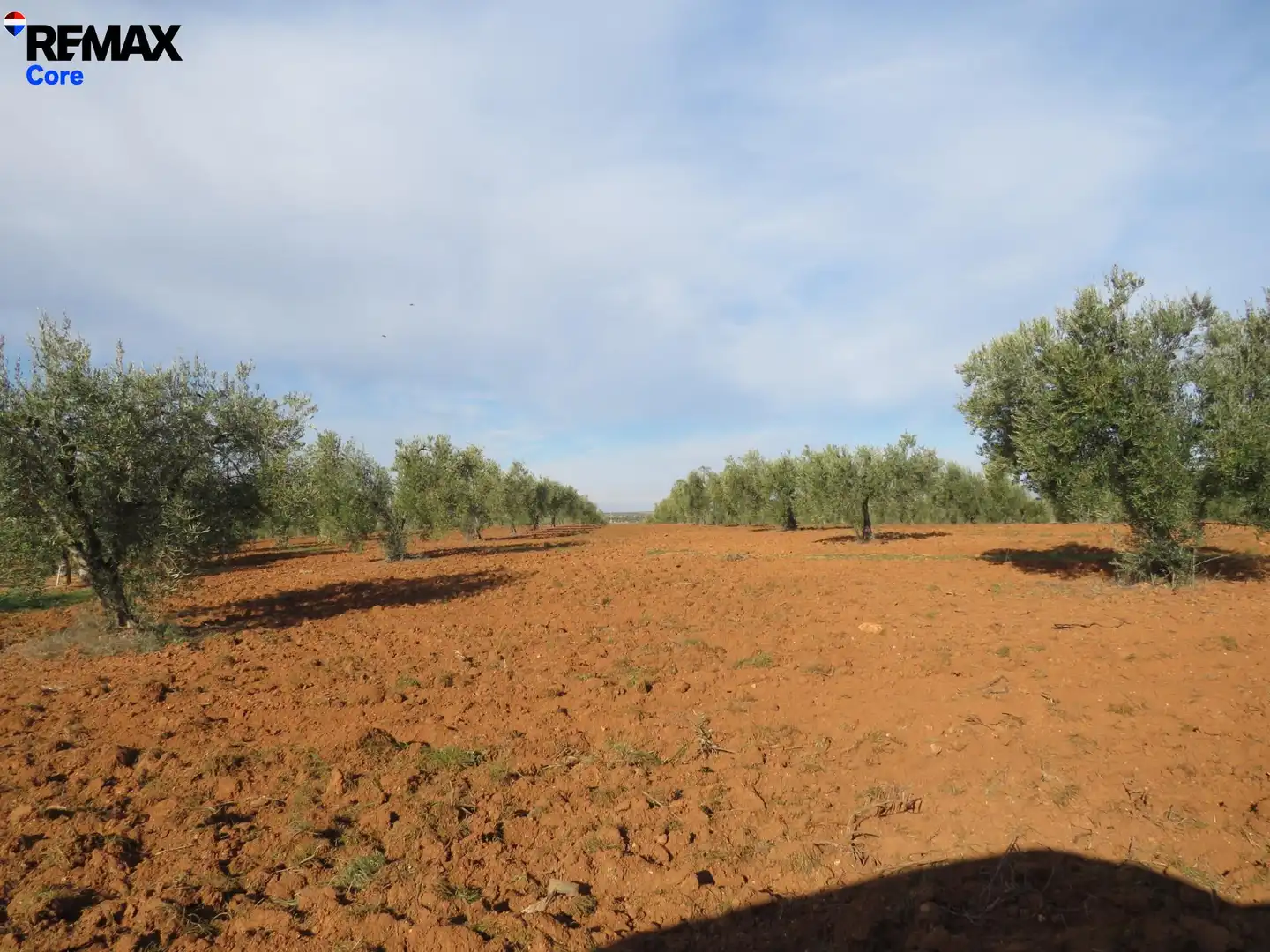 Grundstücke zum Verkauf in La Zarza (Badajoz)