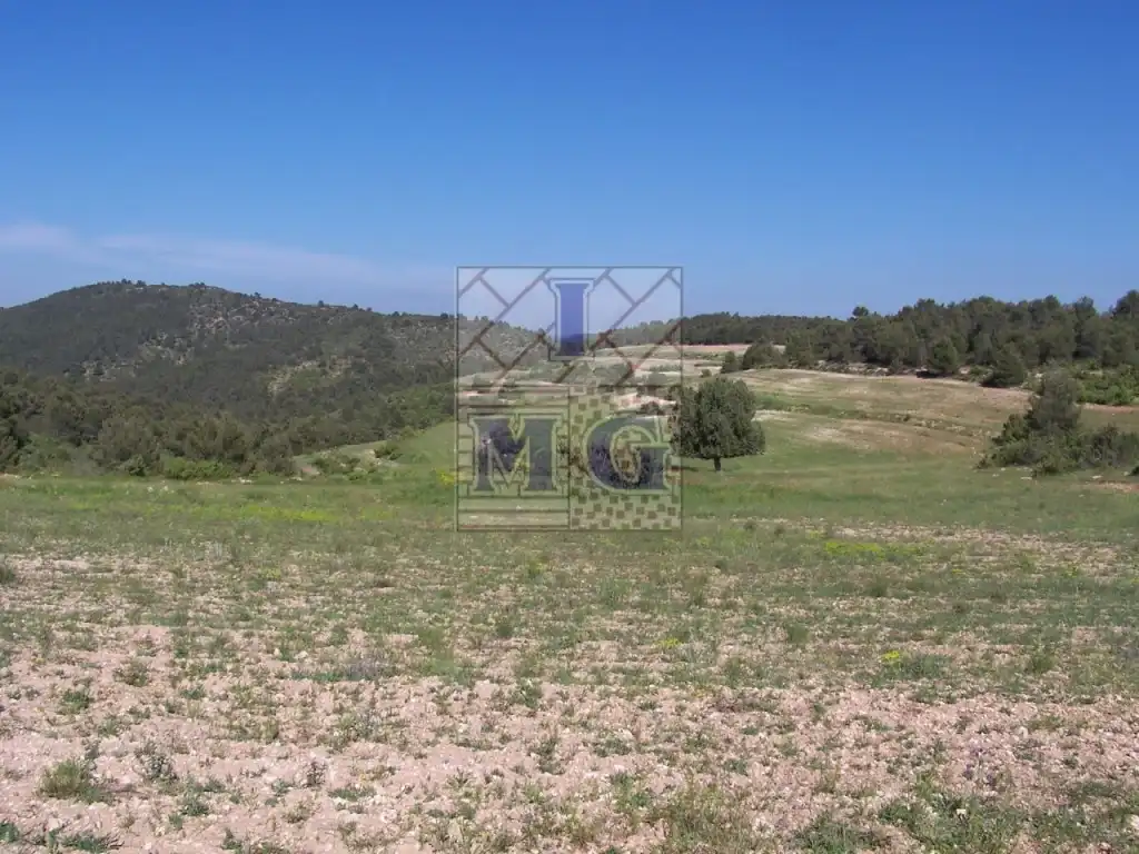 Finca rústica en venta en Yeste
