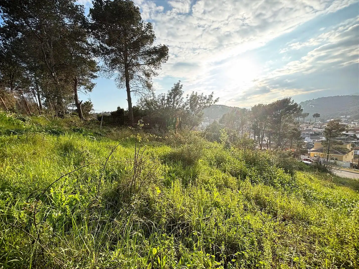 Terreno residencial en venta en Canyelles, imagen 6