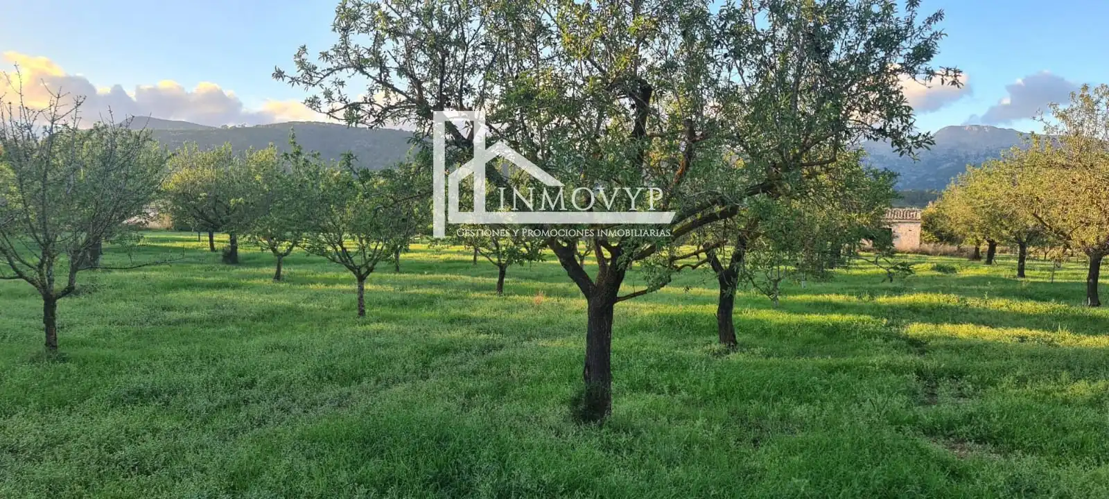 Finca rústica en venda en Inca
