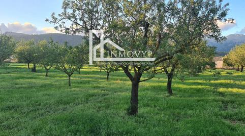 Photo 4 of Country homes for sale in Es Blanquer, Inca