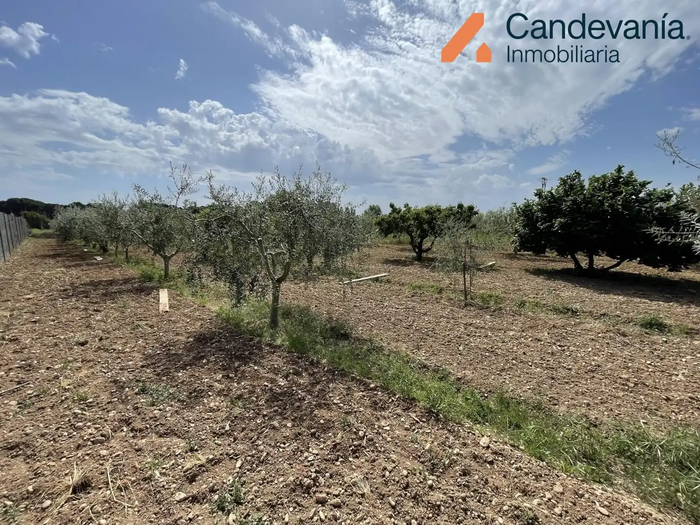 Land for sale in Gurrea de Gállego