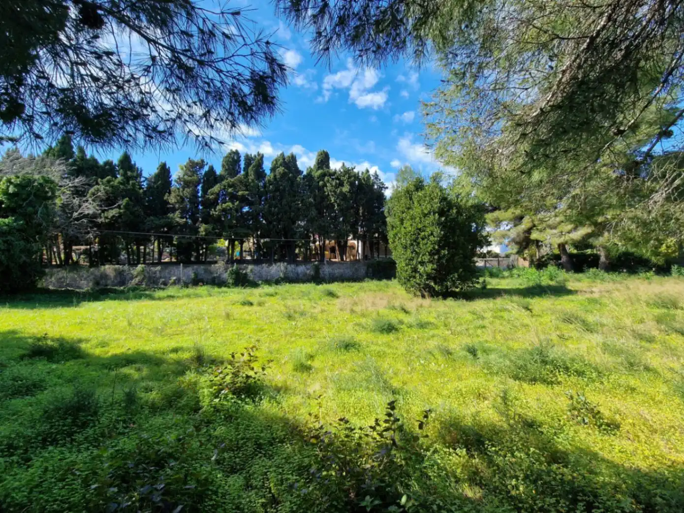 Terreny residencial en venda a Cap Martí - El Tossalet - Pinomar, imagen 15