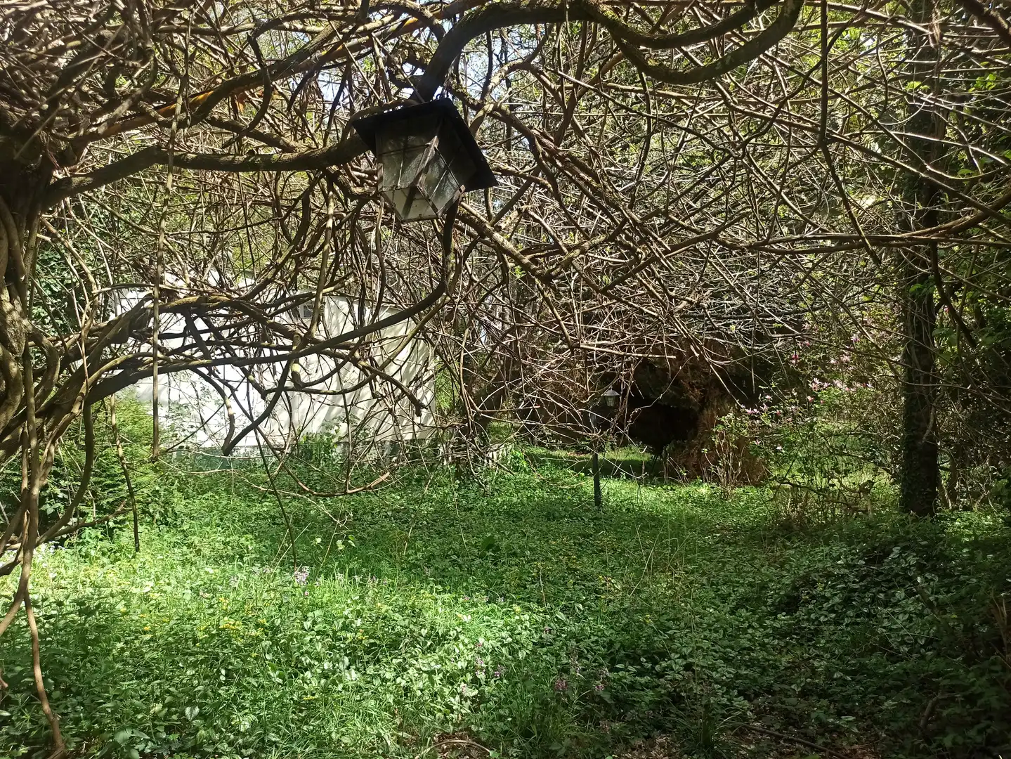 Terreni e lotti in vendita a Parroquias del Este, imagen 14