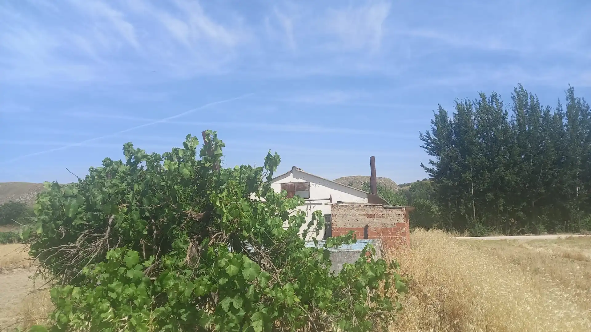 Finca rústica en venta en Chinchón con Piscina