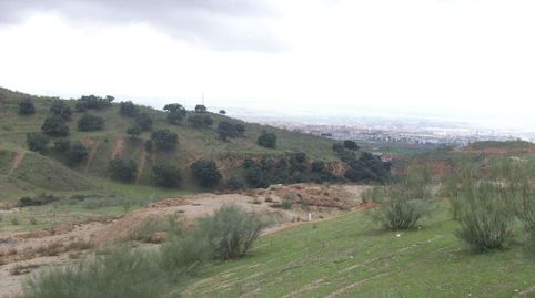 JUN ( Granada ) Paraje Casería de San Jerónimo., immagine 3