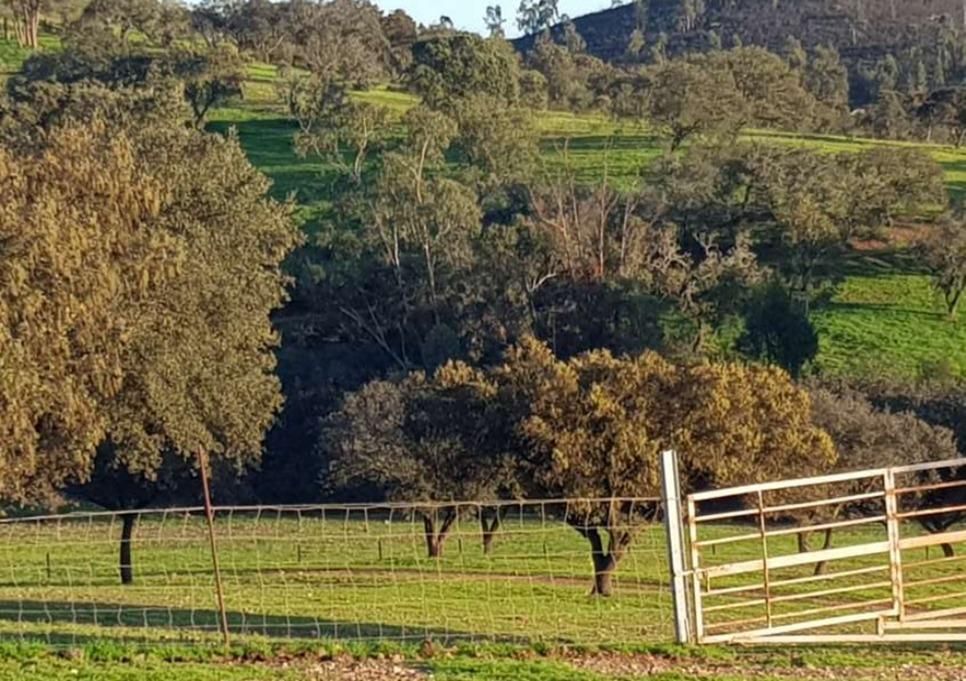 Finca rústica en venda a Puebla de Guzmán