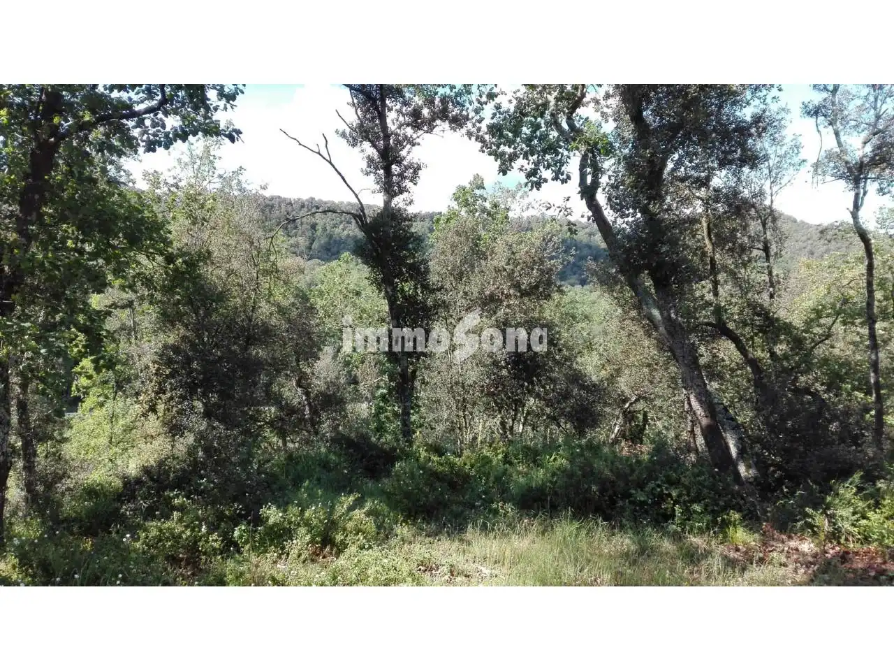 Terreny rústic en venda a Llinars del Vallès, imagen 6