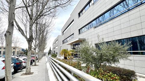 Foto 3 de Oficina de alquiler en El Pinar - Punta Galea, Las Rozas de Madrid