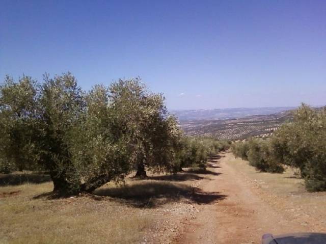 Terreno residencial en Venta en Calle de la Goleta en Torres