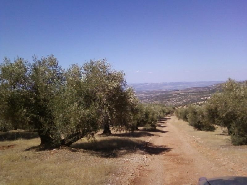 Residential for sale in Torres