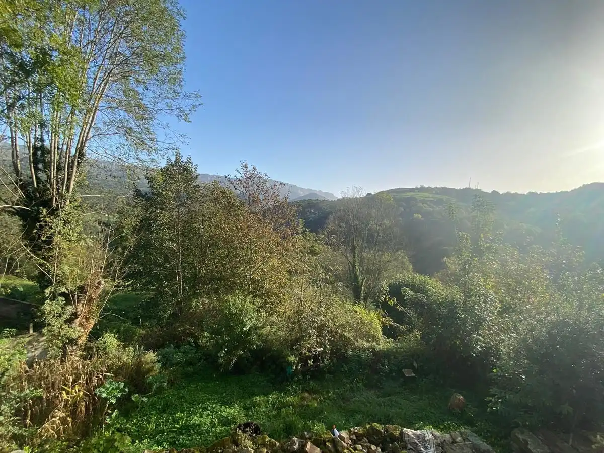 Adossat en venda a Cabrales, imagen 17