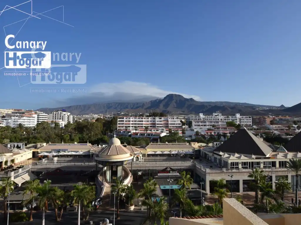 Vista exterior de Casa o chalet en venta en Arona con Calefacción, Jardín privado y Balcón