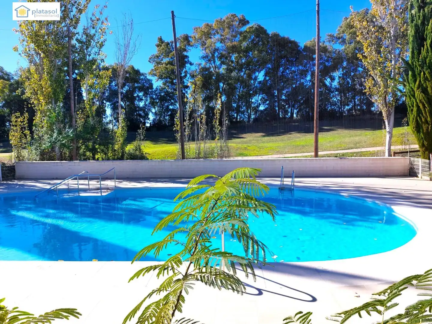 Piscina de Casa adosada en venda en Guillena amb Aire condicionat, Calefacció i Jardí privat