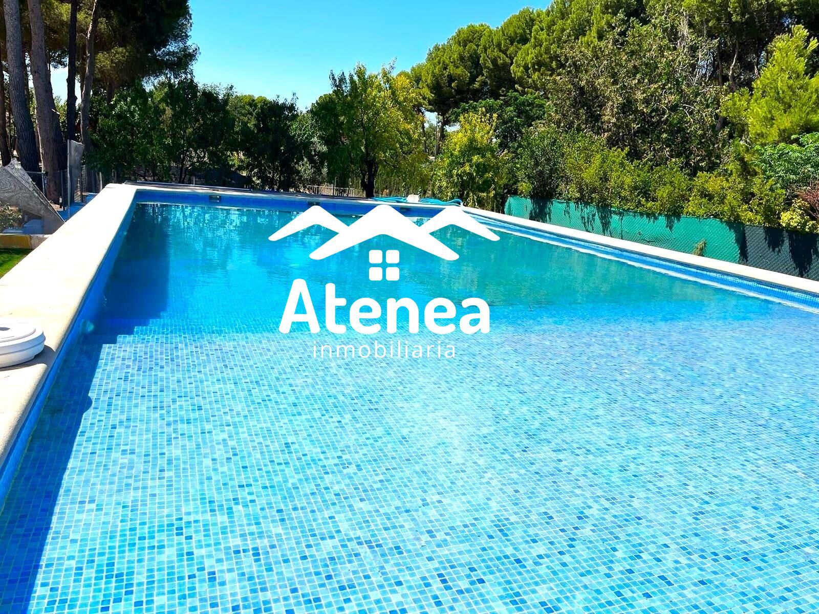 Piscina de Casa o xalet en venda en  Albacete Capital amb Aire condicionat, Calefacció i Jardí privat