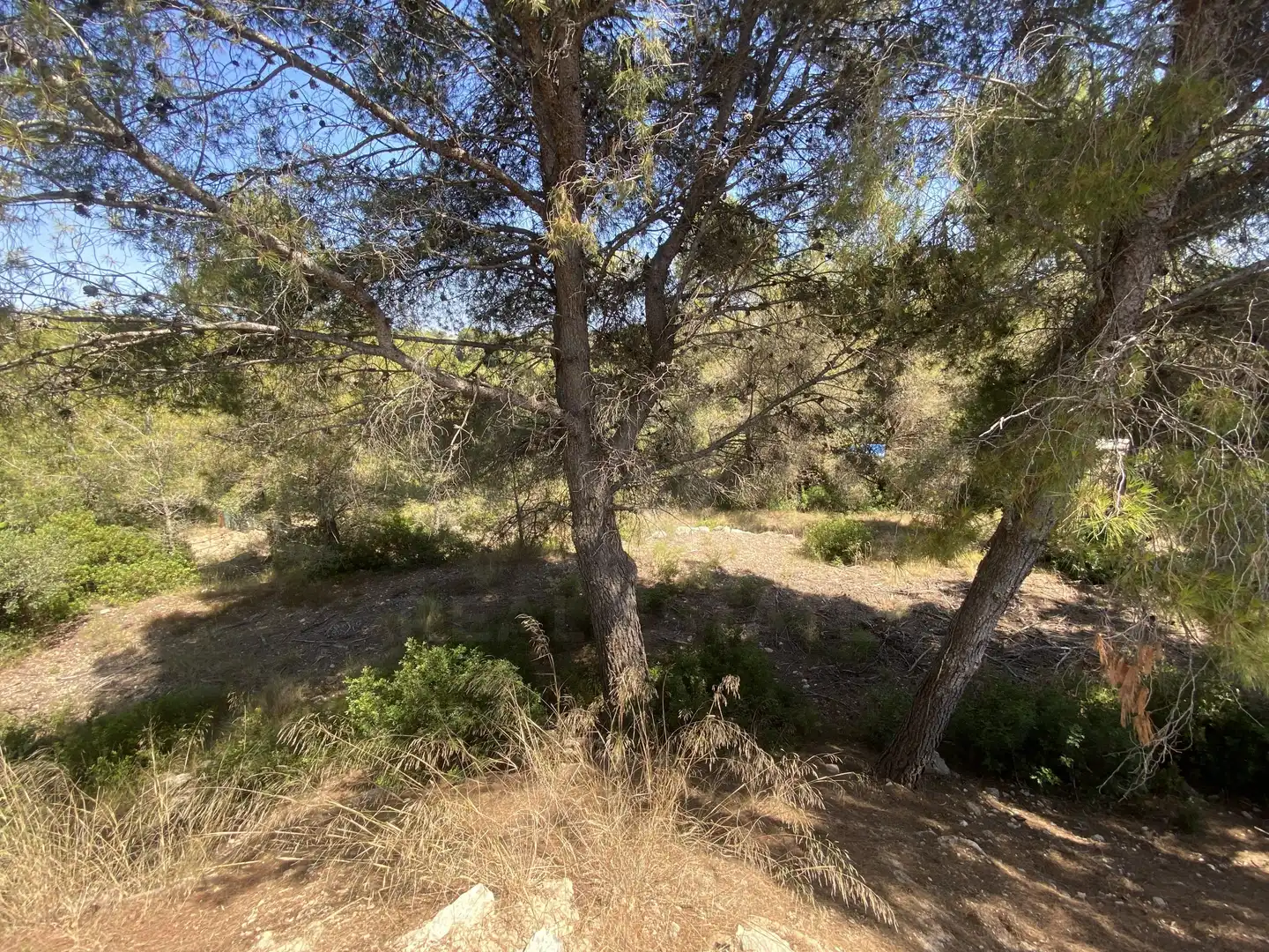 Residential land for sale in Urbanitzacions de Llevant, imagen 26