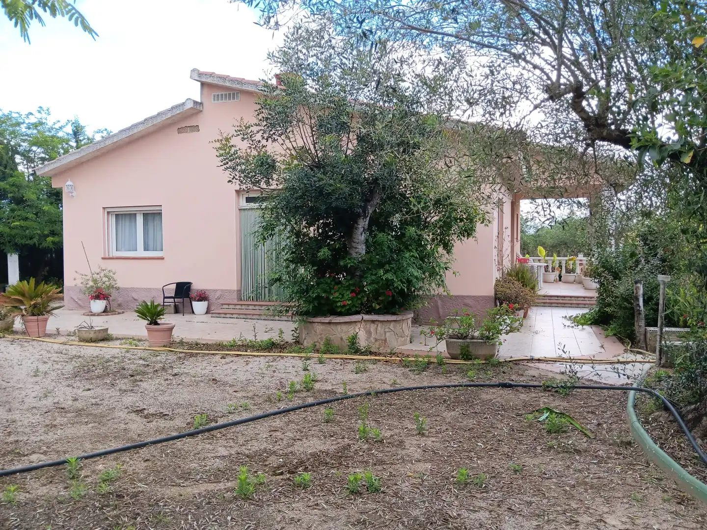 Vista exterior de Casa o chalet en venta en Tortosa con Jardín privado