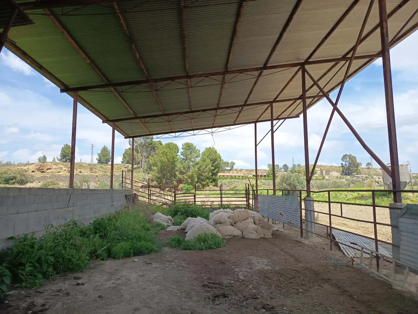 Vista exterior de Terreno en venta en Fonelas