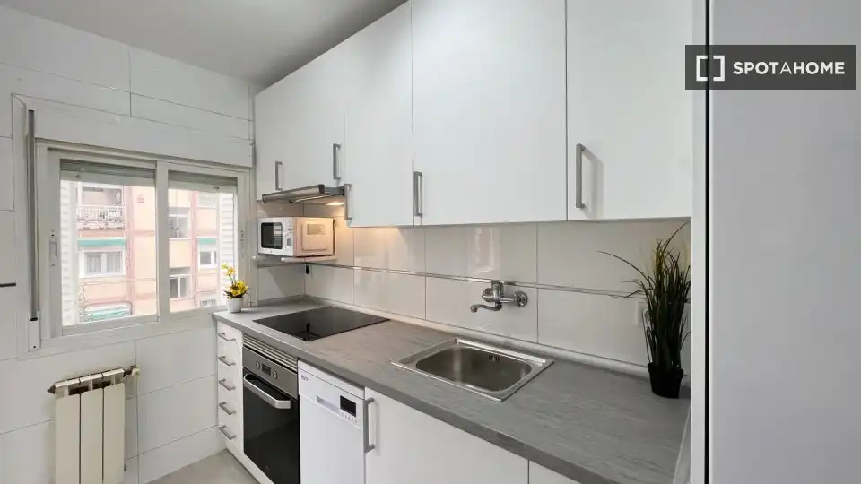 Kitchen of Flat for rent in Madrid  with Air Conditioner, Heating and Furnished