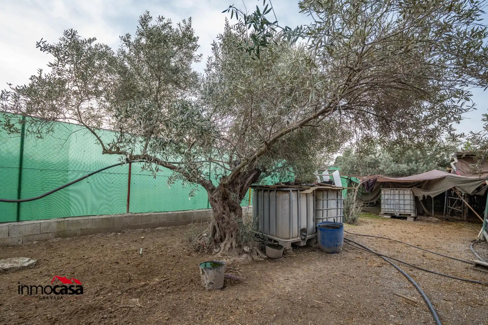Garden of Residential for sale in Las Gabias