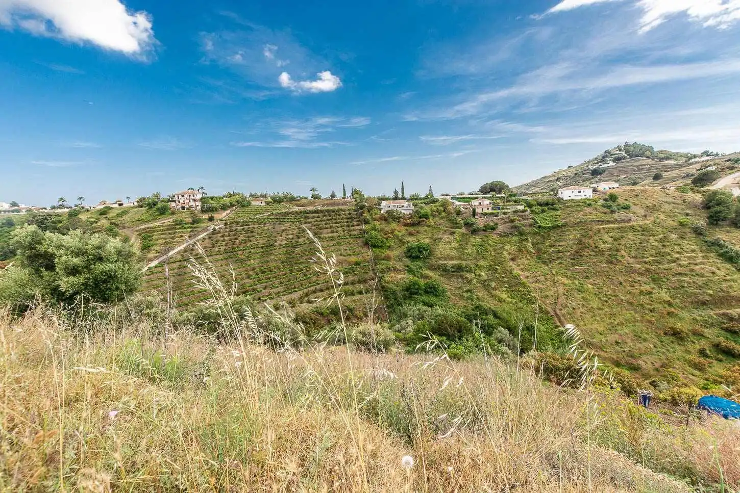 Terreno rústico en venta en Frigiliana, imagen 4