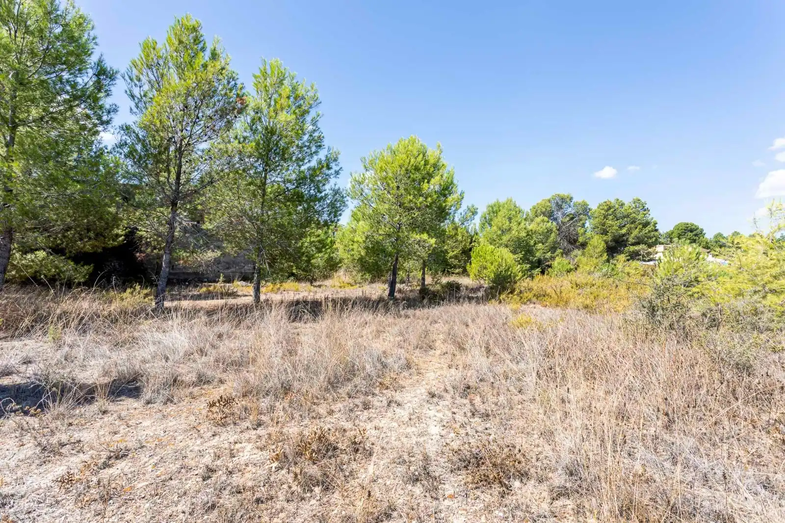 Villa avec piscine à vendre à Safareig L9, imagen 35