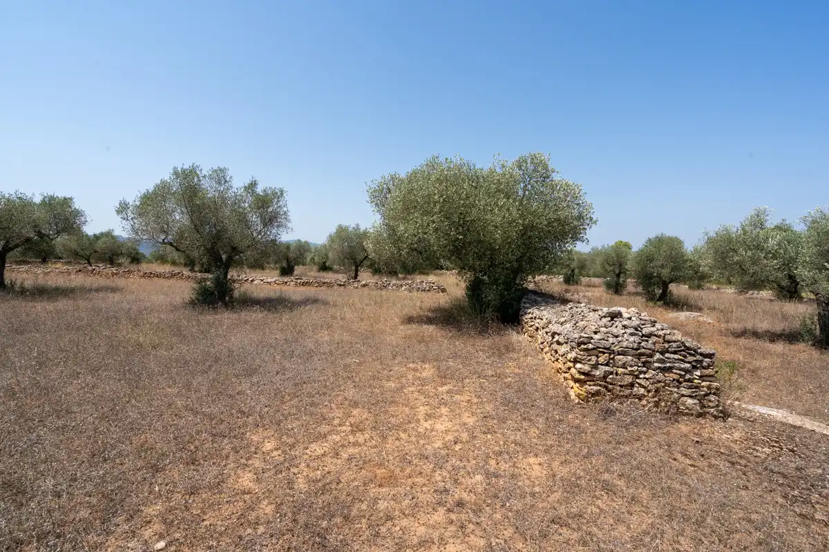 Rural land for sale in C-12 77, imagen 19