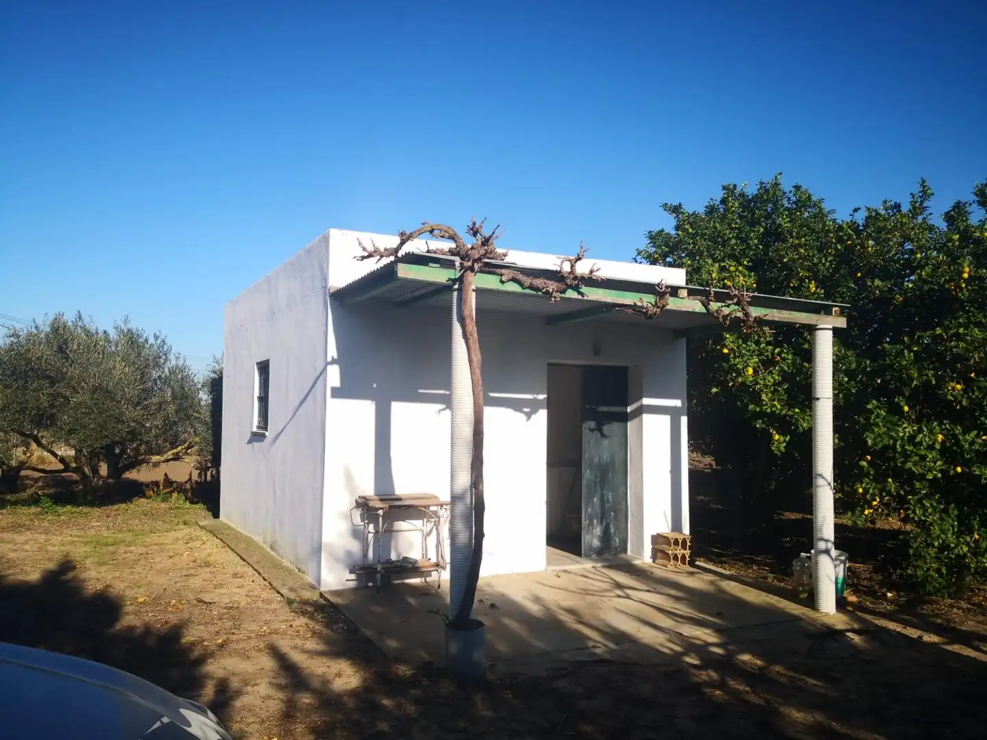 Terreno rustico in vendita a Barbate ciudad
