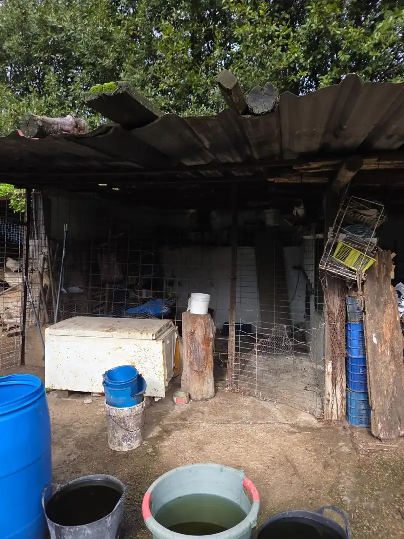 Terreno en venta en Carreño