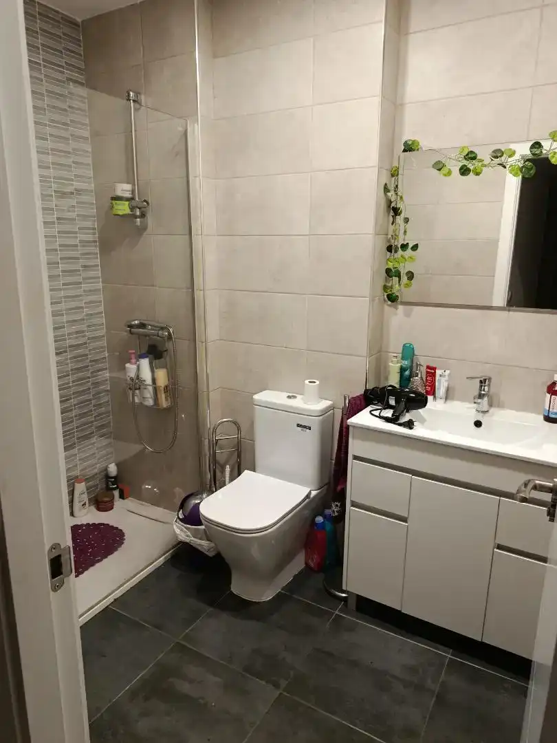 Bathroom of Flat for share in Colmenar Viejo  with Internet