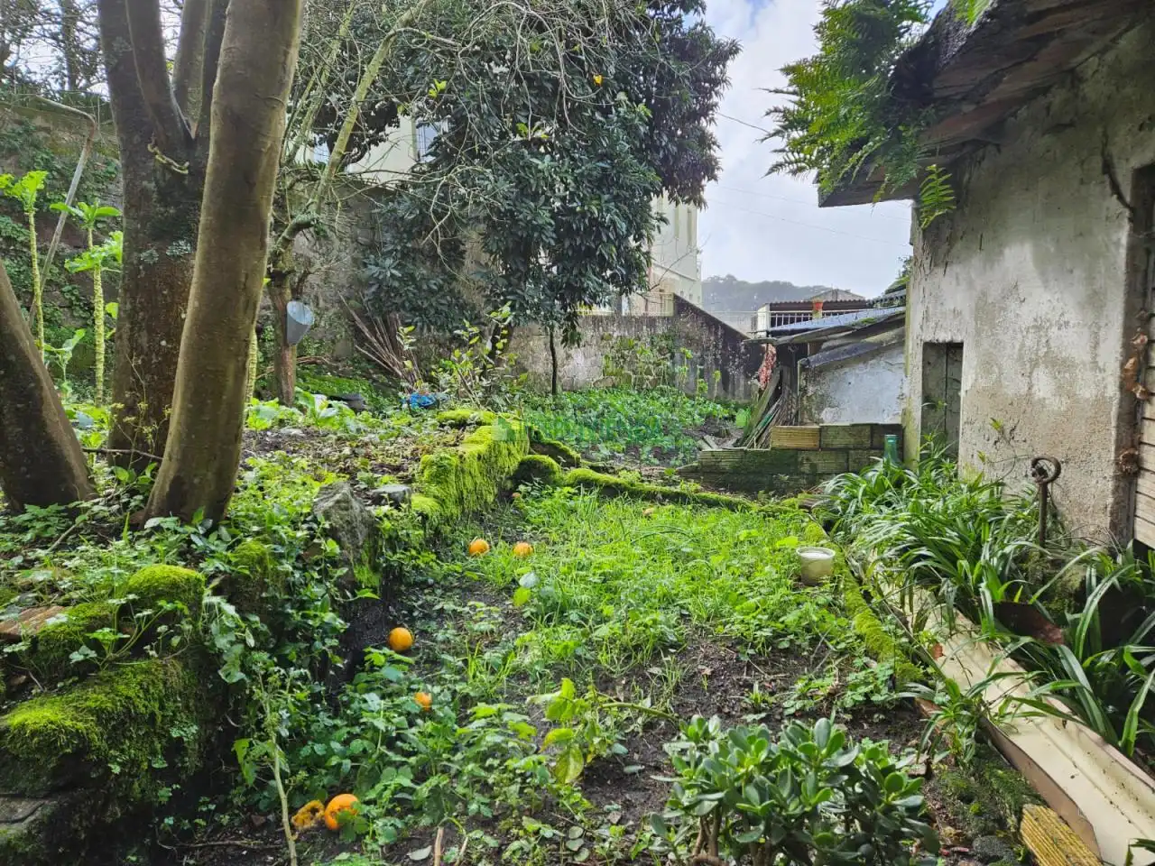 Jardí de Residencial en venda en Redondela