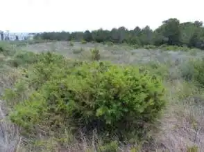 Residential land for sale in Coma-ruga platja, imagen 6