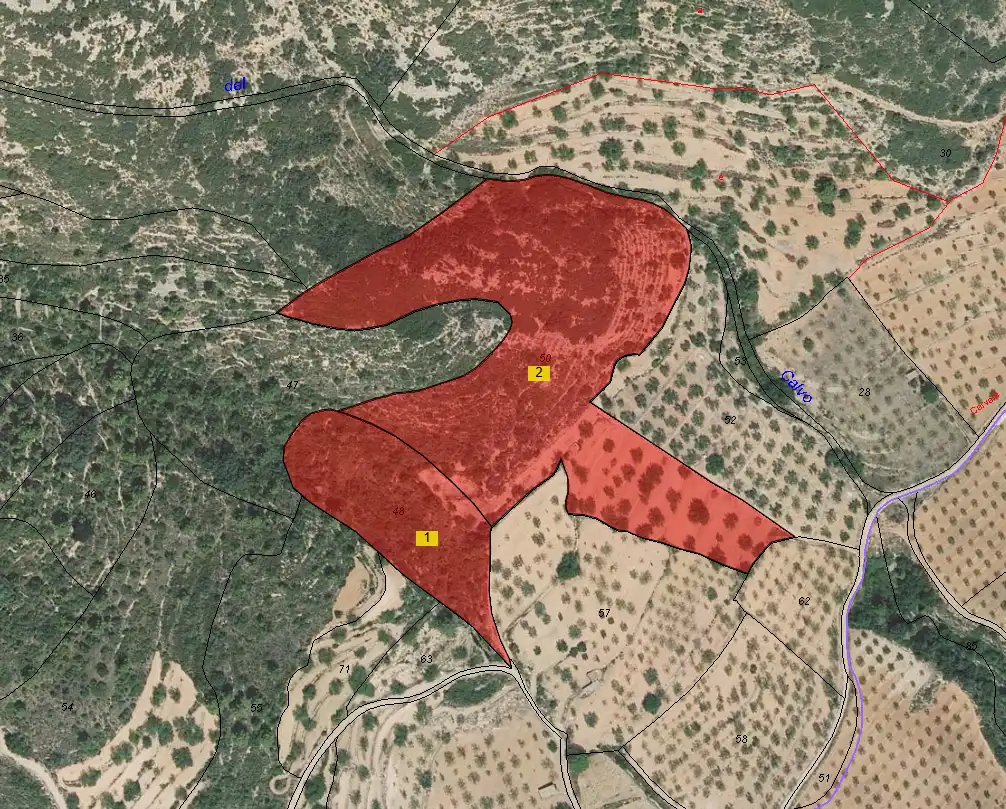 Terreno rustico in vendita a Cervera del Maestre