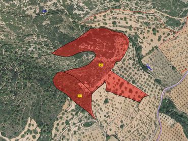 Terreno rustico in vendita a Cervera del Maestre