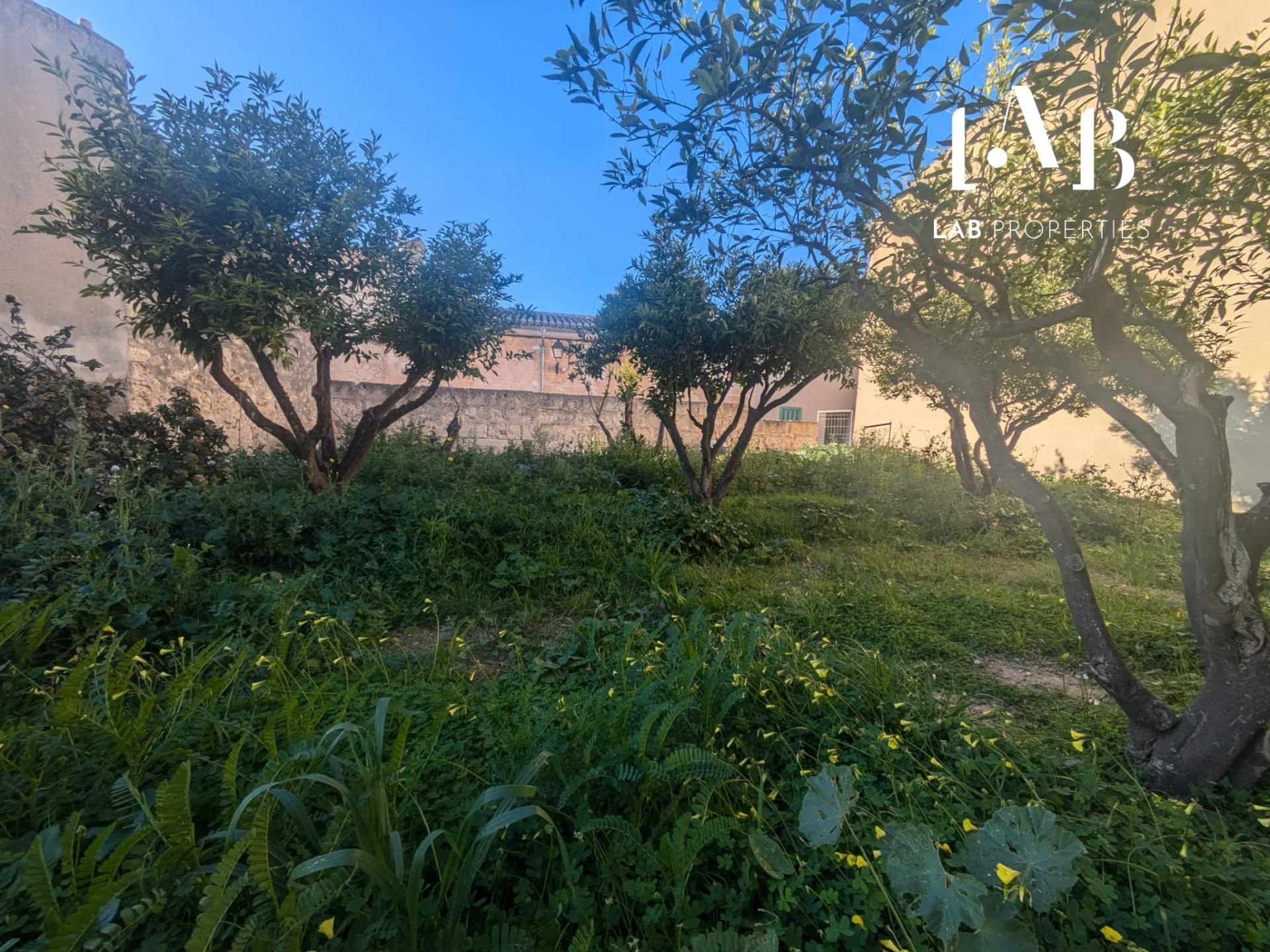 Residential for sale in Campanet