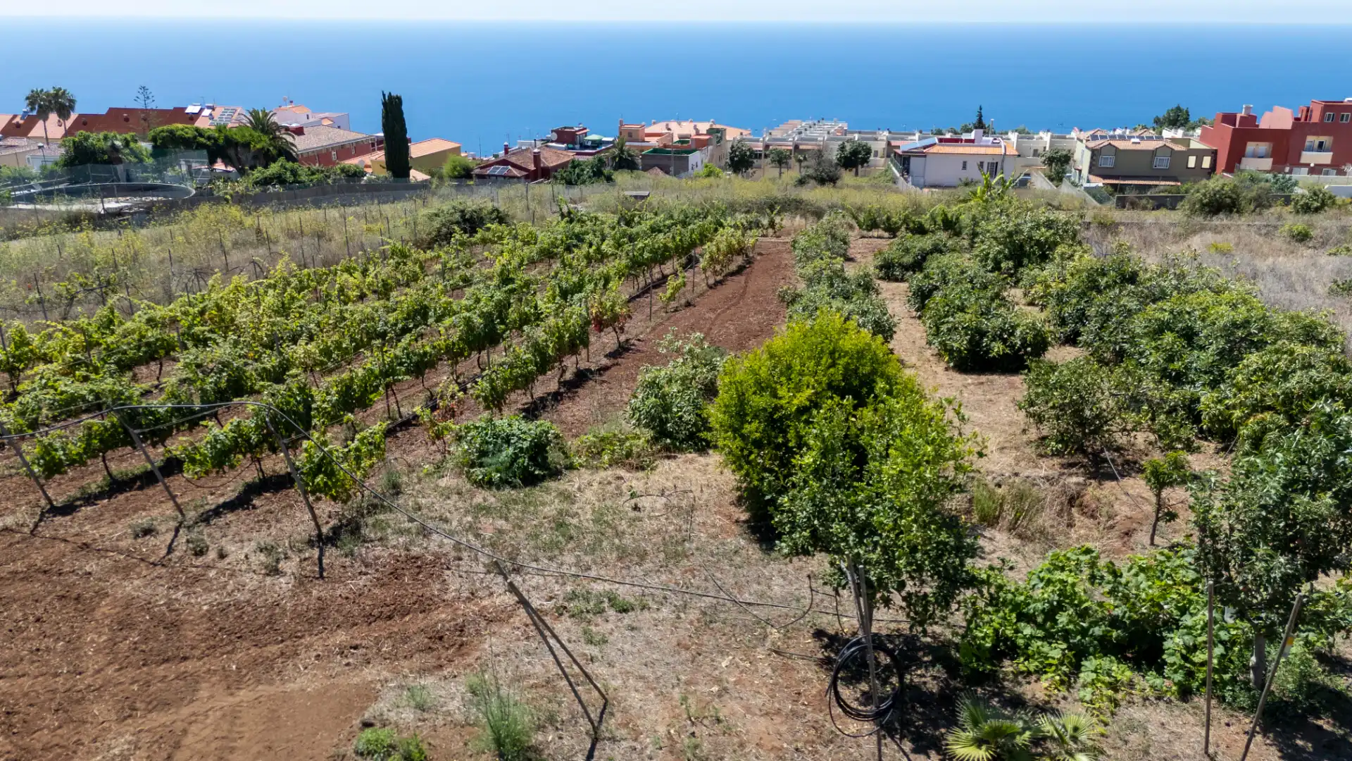 Casa o xalet en venda en Tacoronte amb Jardí privat, Terrassa i Balcó