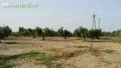 Grundstücke und Bauplätze zum Verkauf in La Coronada, imagen 2