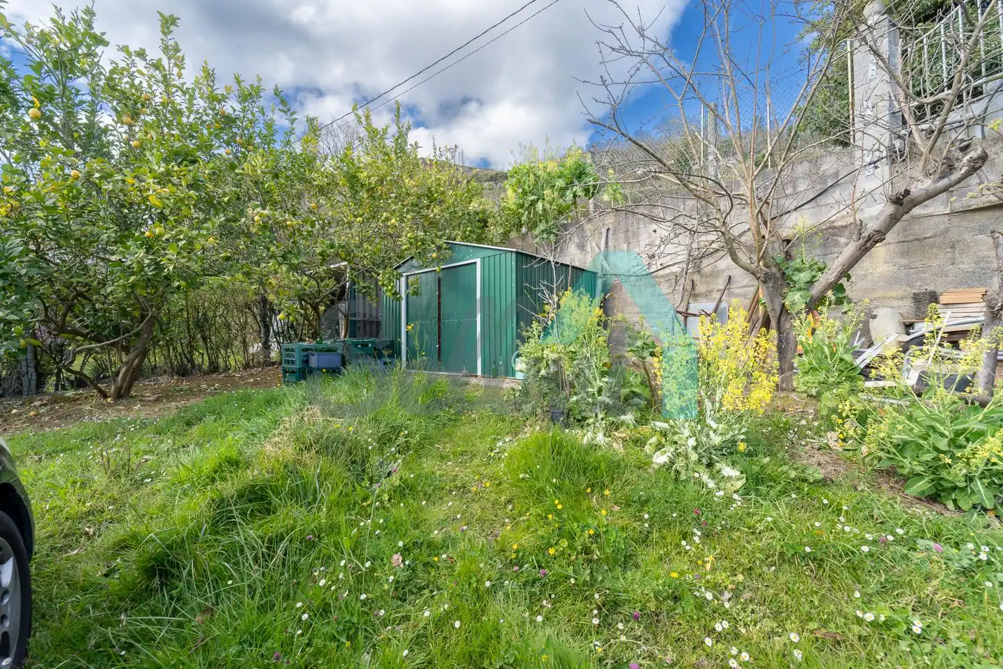Jardí de Casa o xalet en venda en Oviedo  amb Jardí privat, Terrassa i Traster