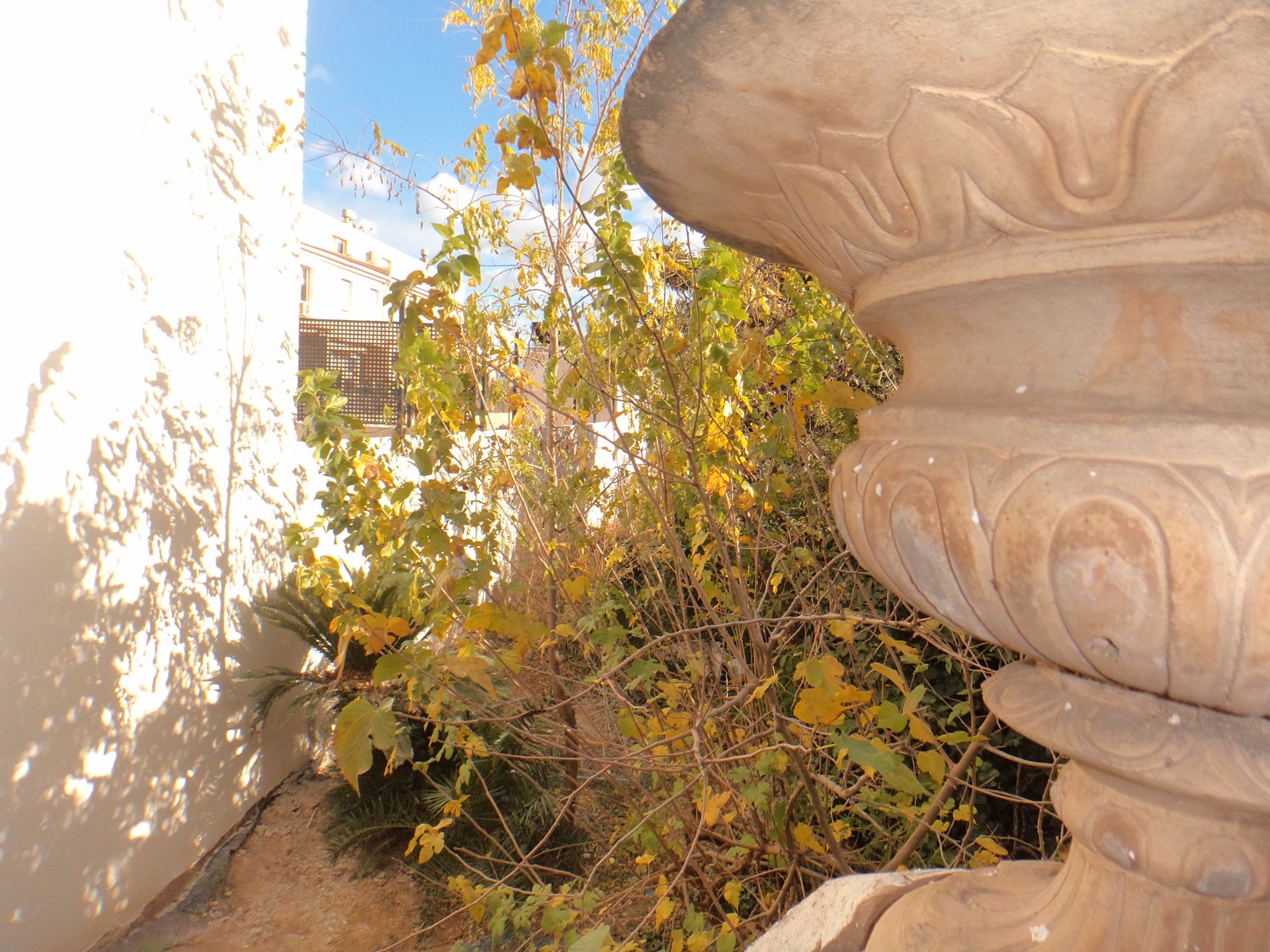 Jardí de Casa adosada en venda en Godella amb Jardí privat