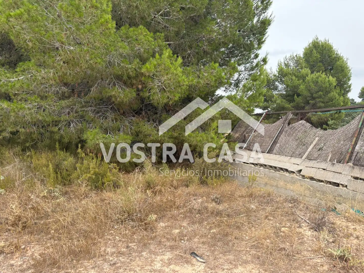 Terreno rustico in vendita a CL BADAJOZ, imagen 5