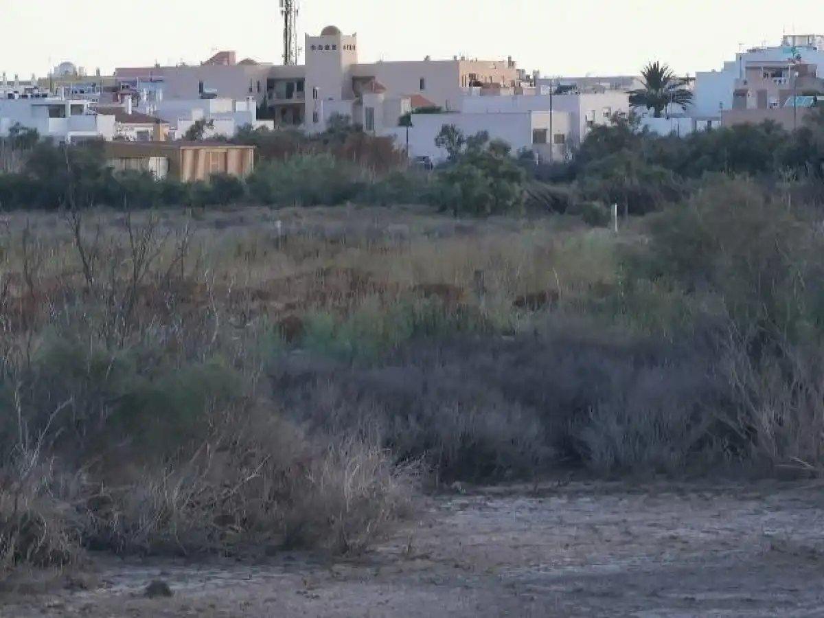 Terreno rustico in vendita a Camino LOS HUERTOS