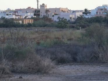 Rustikales Grundstück zum Verkauf in Camino LOS HUERTOS